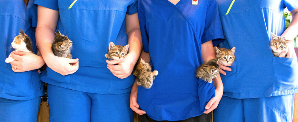 vaccinations3